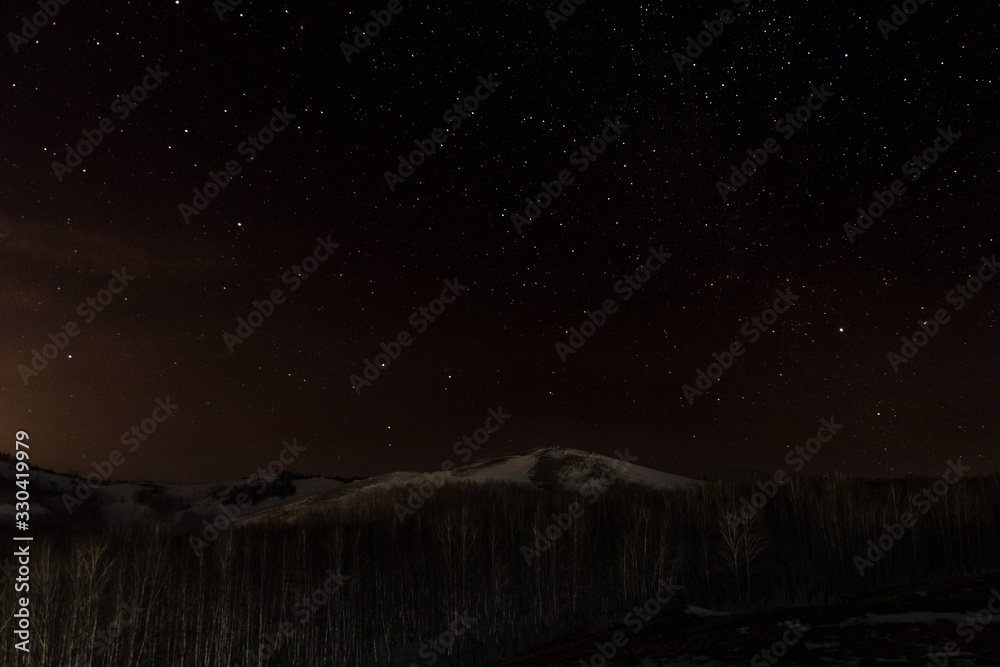 Starry night on the background of the forest and mountains Starry night on the background of the forest and mountains