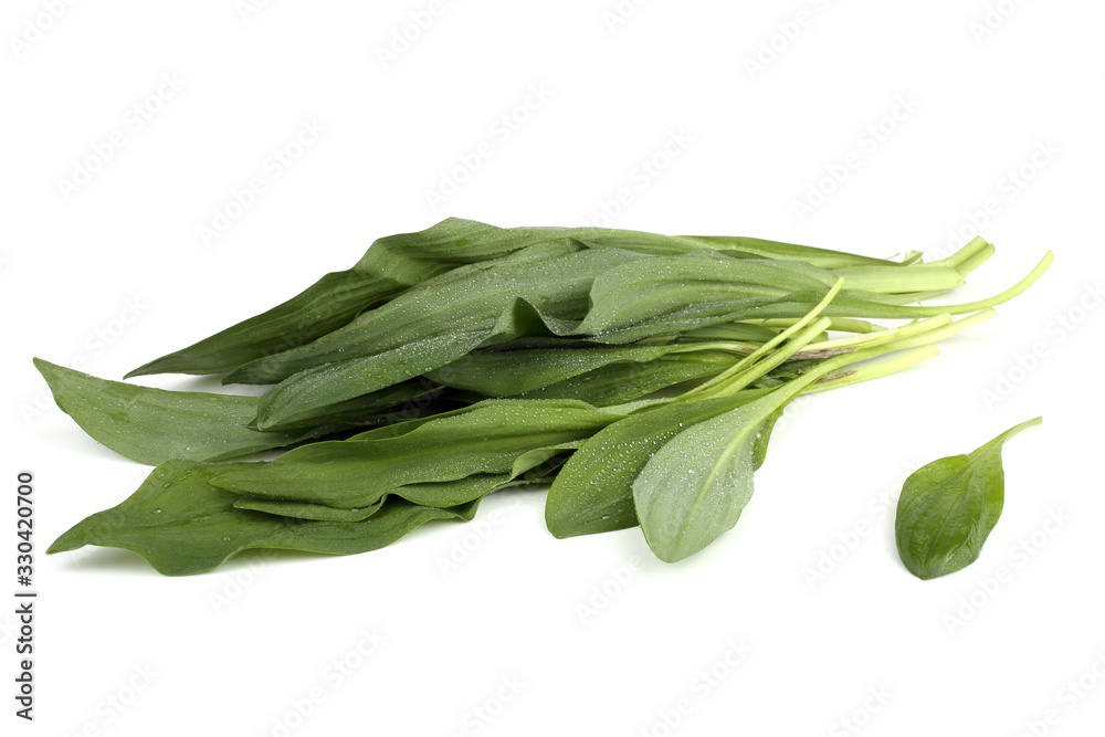 Ramson leaves Ramson leaves