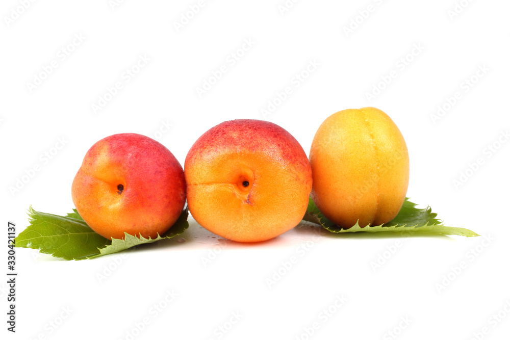 Apricots on leaves Apricots on leaves