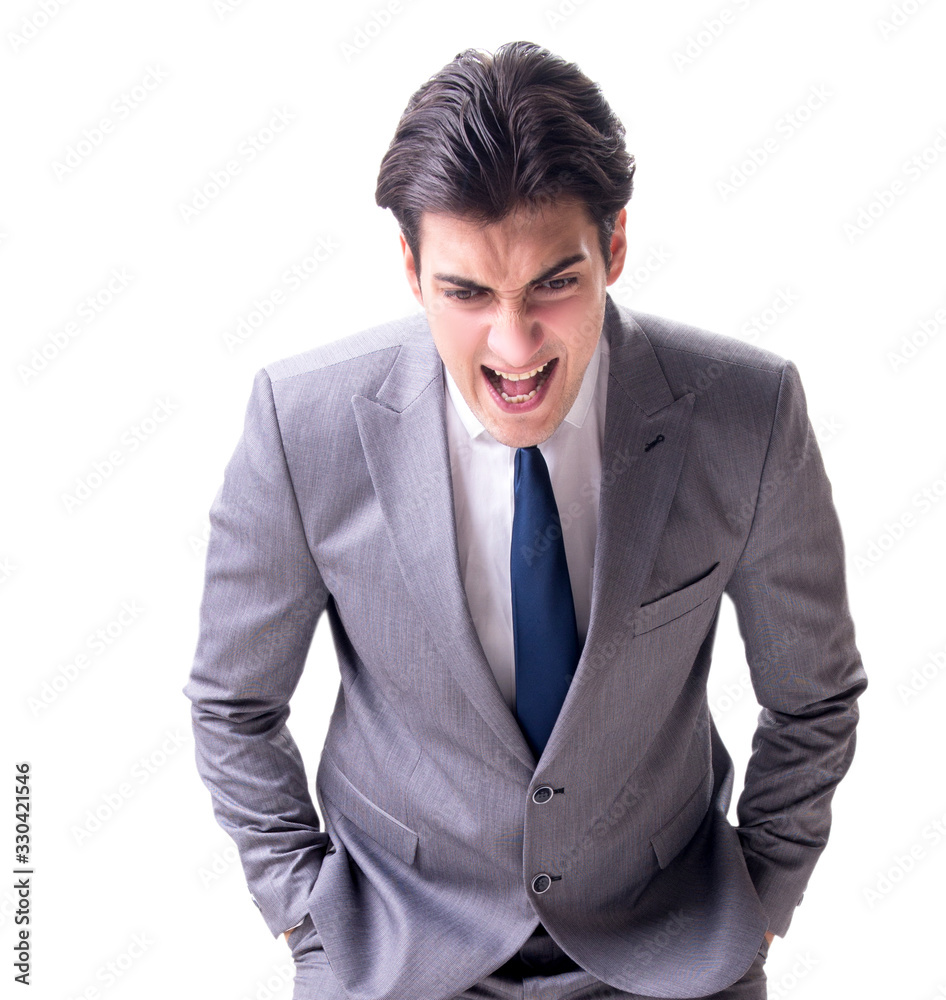 The businessman isolated on the white background The businessman isolated on the white background