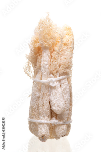 Dried Tropical Stinkhorn mushroom, Phallus indusiatus , Bamboo mushroom isolated on white