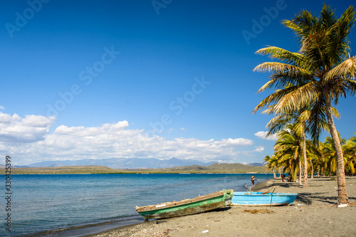 tropical beach with palm trees © Edwin