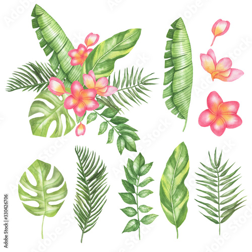 Set of franzipani and leaves