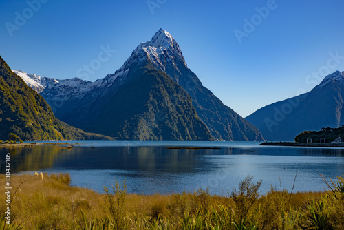 Milford Sound at Fiordland National Park in New Zealand © momo11353