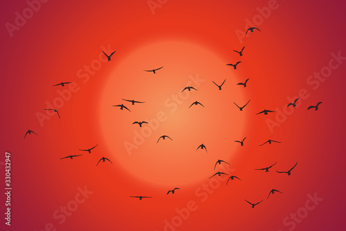 silhouette of a flock of flying birds