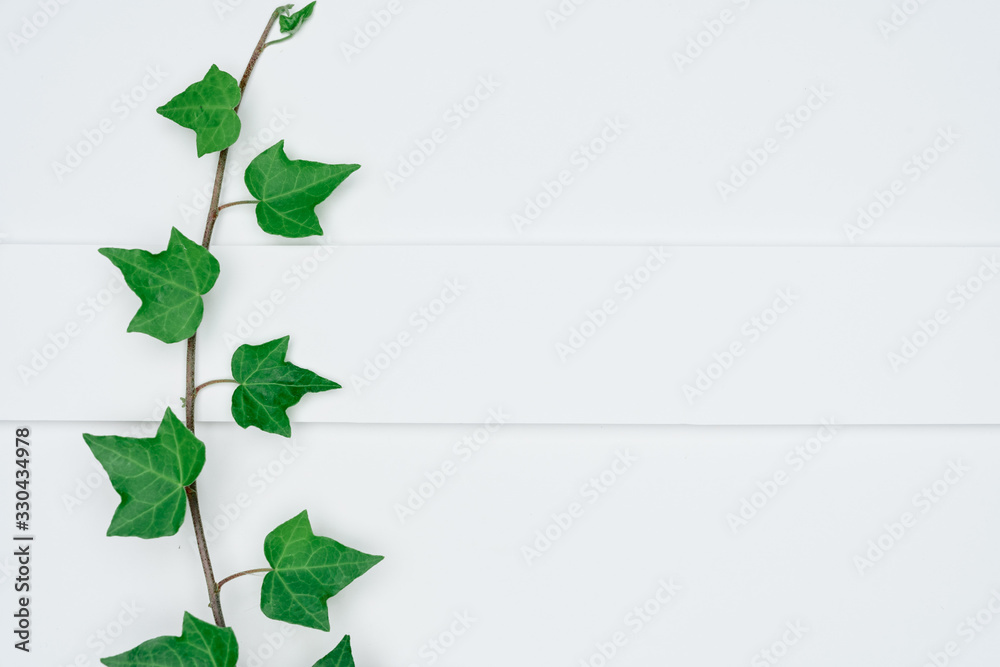 Creative layout made of papers and leaves Flat lay. Minimal nature concept. Creative layout made of papers and leaves Flat lay. Minimal nature concept.