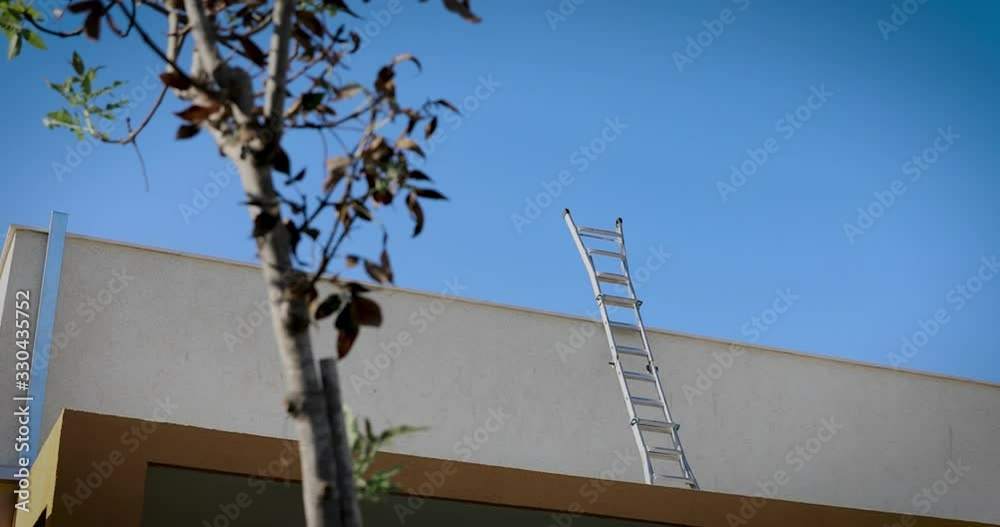 Camera moves along young tree and the metal staircase leading to blue Heaven Camera moves along young tree and the metal staircase leading to blue Heaven