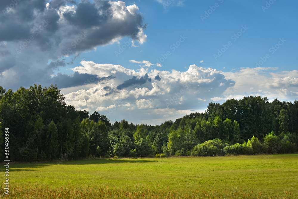 Sunny landscape with green meadow and blue sky.
