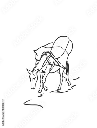 Mule is carrying load on his back, This type of cargo transport widely used in himalayas, Vector sketch, Hand drawn linear illustration