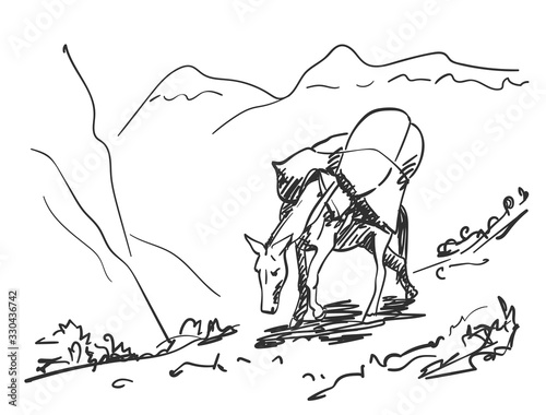 Mule walking in mountains with load on his back, This type of cargo transport widely used in himalayas, Vector sketch, Hand drawn illustration