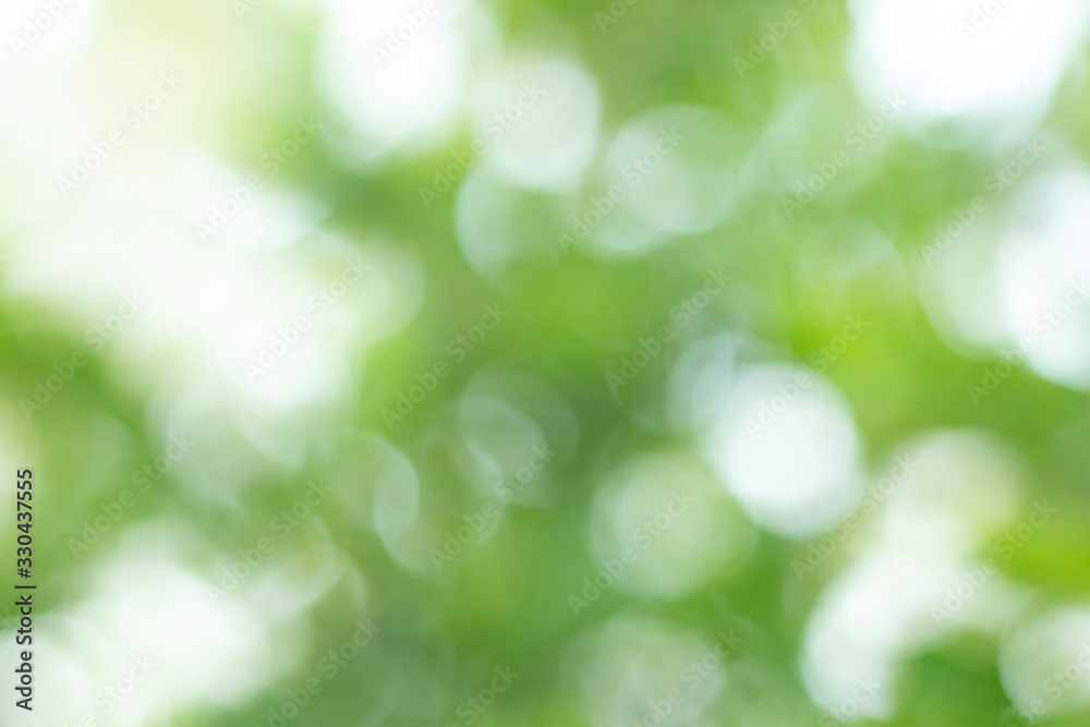 Green and white blur bokeh background. Green and white blur bokeh background.