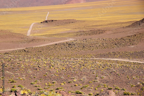 The road to Salar of Arizaro at the Puna de Atacama, Argentina photo