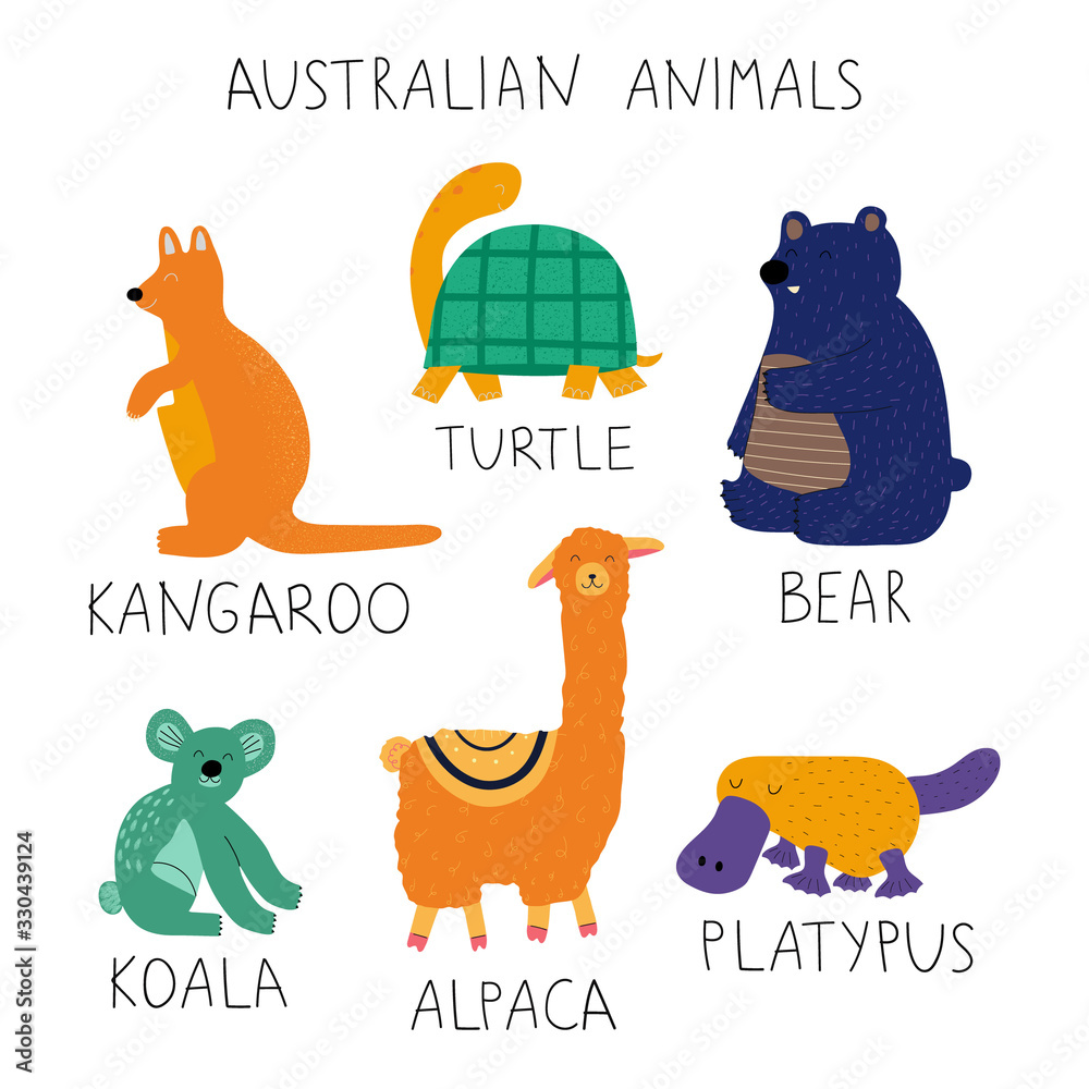 Hand drawn colorful australian animals collection with names. Kids ...