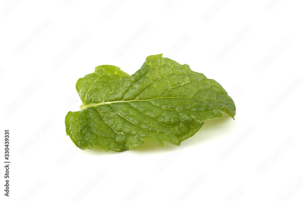 Mint leaf Mint leaf