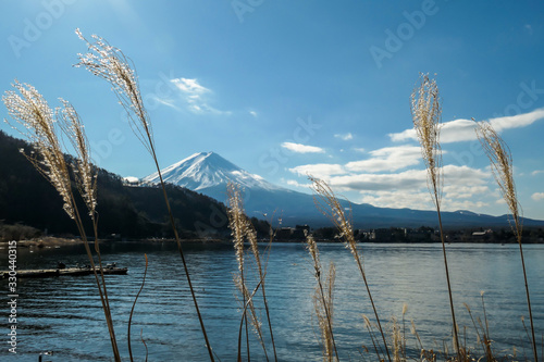 An idyllic view on Mt Fuji from the side of Kawaguchiko Lake, Japan. The volcano is surrounded by clouds. Dried, golden grass on the shore of the lake. Serenity and calmness. Bright and clear day. © Chris