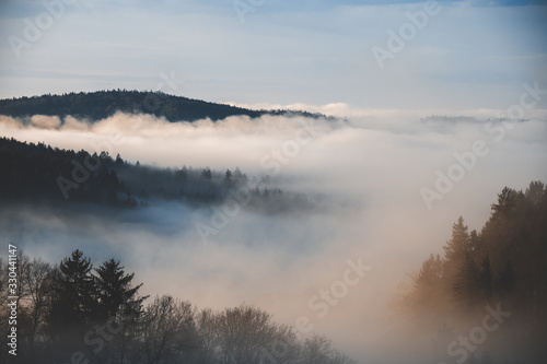 Waldlandschaft im Morgennebel © Sonja Birkelbach
