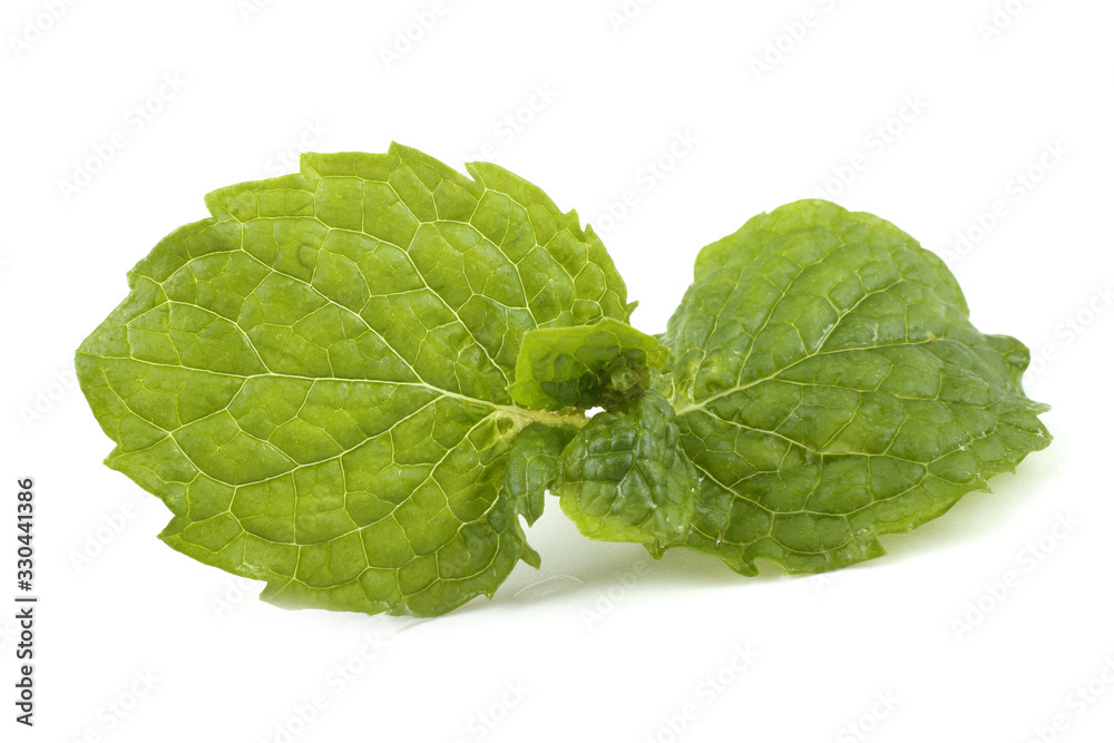 Mint Mint
