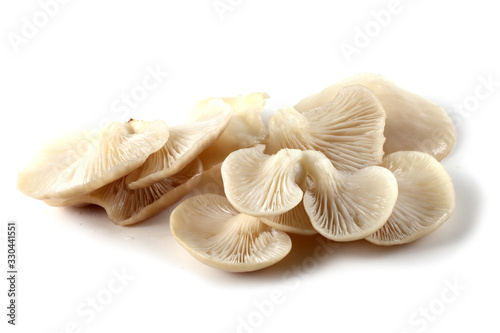White oyster mushrooms