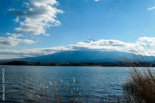 Fototapeta Naklejka Na Ścianę i Meble -  An idyllic view on Mt Fuji from the side of Kawaguchiko Lake, Japan. The volcano is surrounded by clouds. Dried, golden grass on the shore of the lake. Serenity and calmness. Bright and clear day.