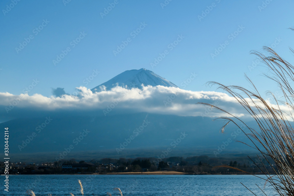 A close up view on Mt Fuji from the side of Kawaguchiko Lake, Japan. The mountain is hiding behind the clouds. Top of the volcano covered with a snow layer. dried, golden grass on the side of the lake