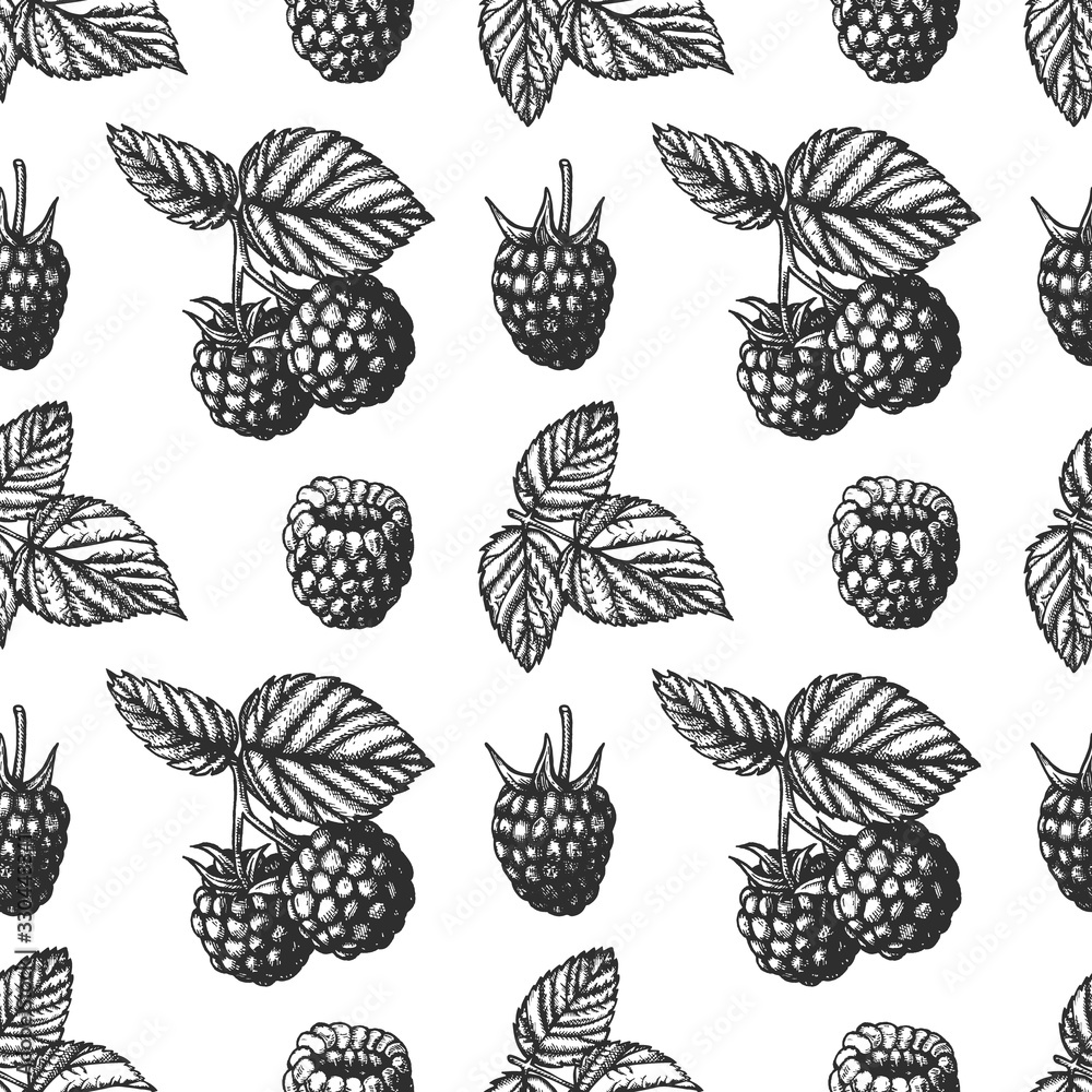 Vector ink summer raspberry pattern Vector ink summer raspberry pattern
