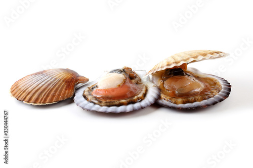 Scallops isolated on white