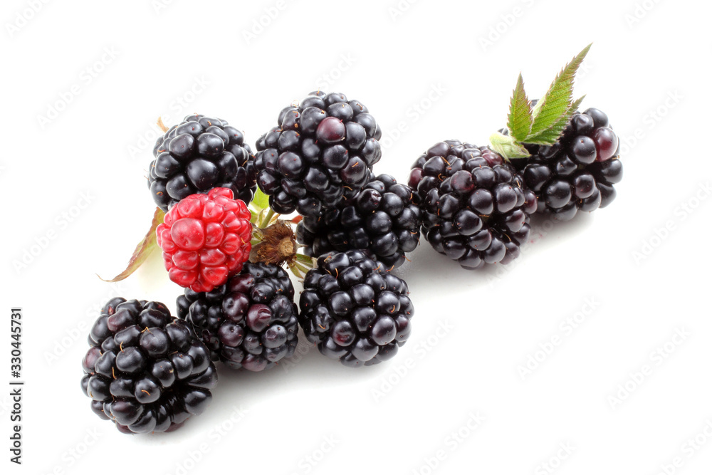 Blackberries and cluster