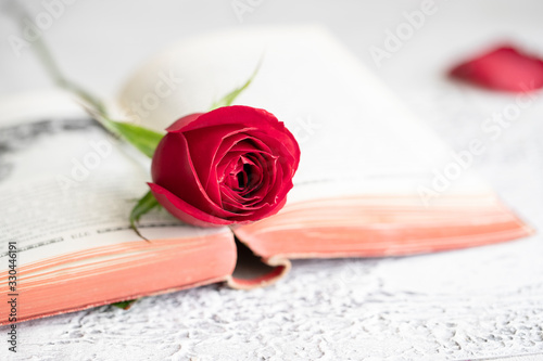 Photography Open book  and red rose for World Book Day, celebrated on 23rd of April