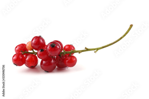 Cluster of red currant