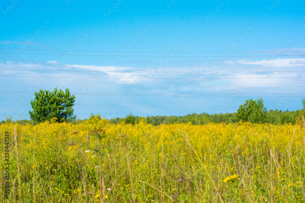 Power line wires stretched over a field in the countryside