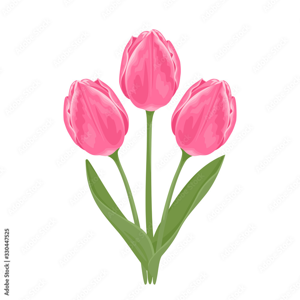 Fototapeta premium Vector pink tulips. Bouquet of three beautiful spring flowers with green stems and leaves Isolated on a white background. Festive flower illustration in cartoon flat style.