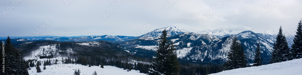 Panorama of snow-capped mountains, snow-covered and pine- covered valley