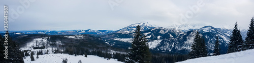 Panorama of snow-capped mountains  snow-covered and pine- covered valley
