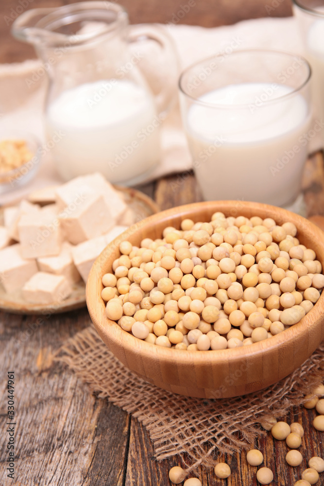 soybeans, soy milk, soymeat, tofu assortment soybeans, soy milk, soymeat, tofu assortment