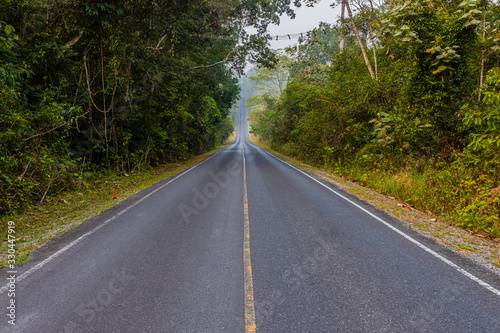 A beautiful road in Khoa Yai National Park, Thailand