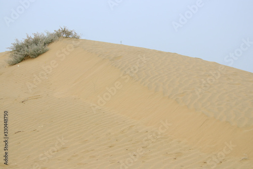 Fototapeta Naklejka Na Ścianę i Meble -  sand dunes in the desert