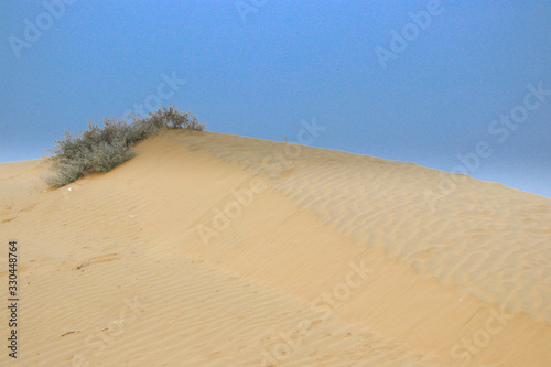 Fototapeta Naklejka Na Ścianę i Meble -  sand dunes in the desert