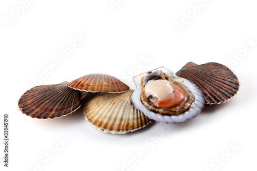 Scallops and opened scallop