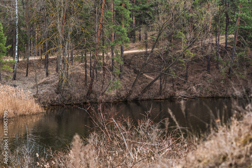  Nature landscape - river and forest in Europe