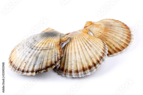 Three scallops