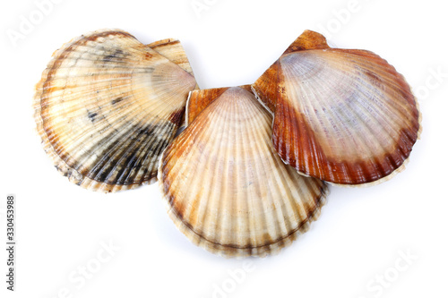 Three scallops