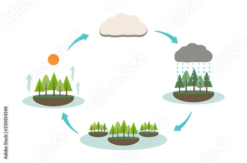 Water cycle. Water helps plants grow. Evaporation of water into rain. Water that exists in this world.
