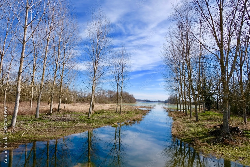 ETANG DOMBES AIN(01)