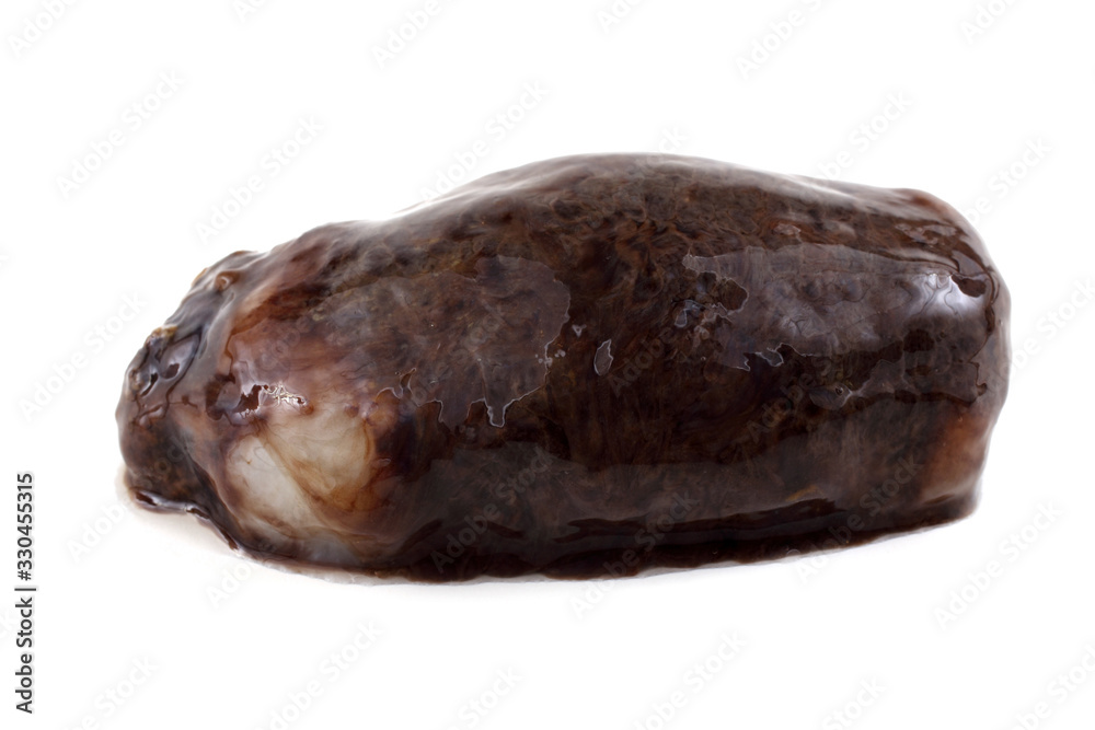 Sea cucumber (cucumaria) Sea cucumber (cucumaria)