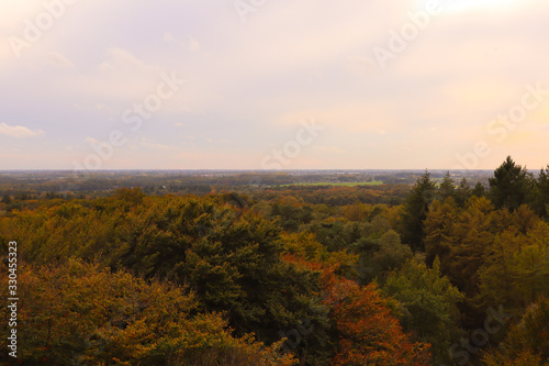 Panoramic scenic view of dutch forrest in autumn fall. 