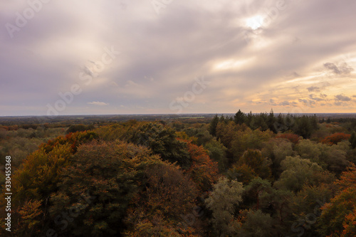Panoramic scenic view of dutch forrest in autumn fall. 
