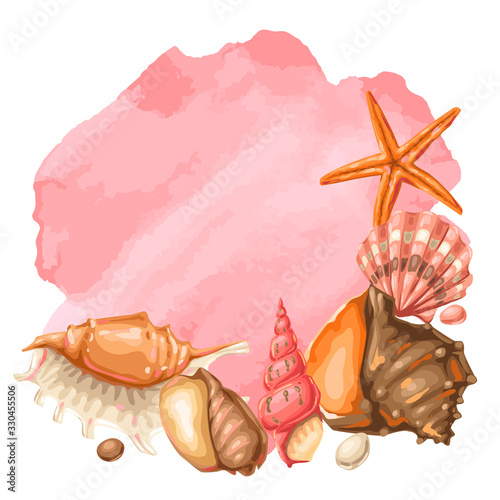 Background with seashells. Tropical underwater mollusk shells.