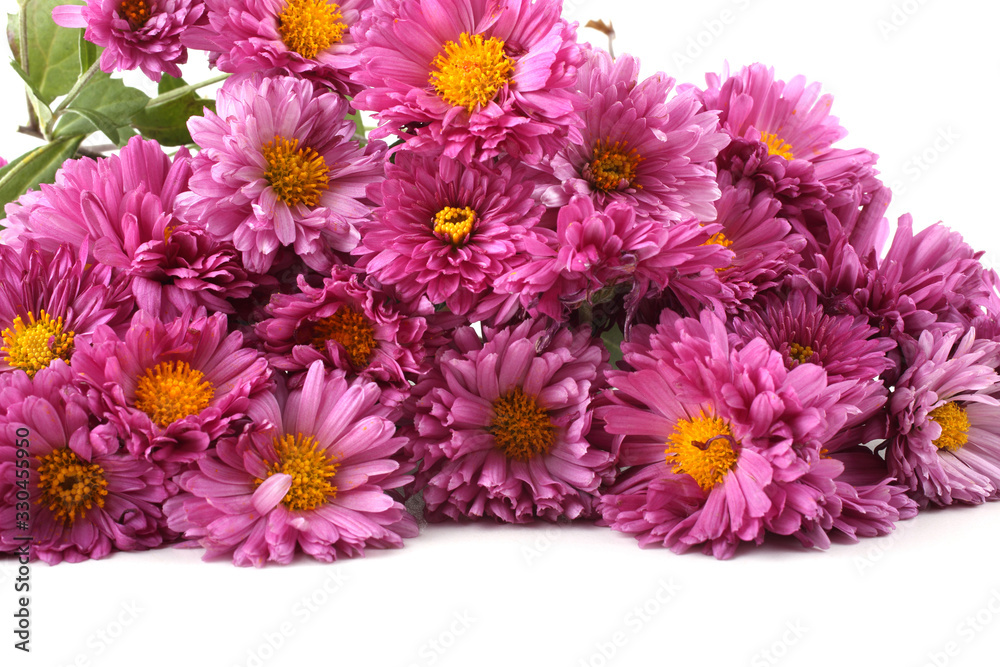 Chrysanthemums