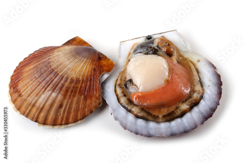 Scallop and opened scallop