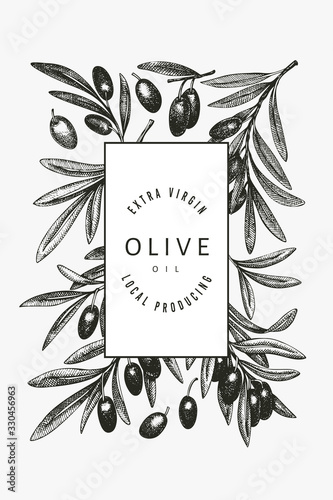 Olive branch design template. Hand drawn vector food illustration. Engraved style mediterranean plant. Retro botanical picture.